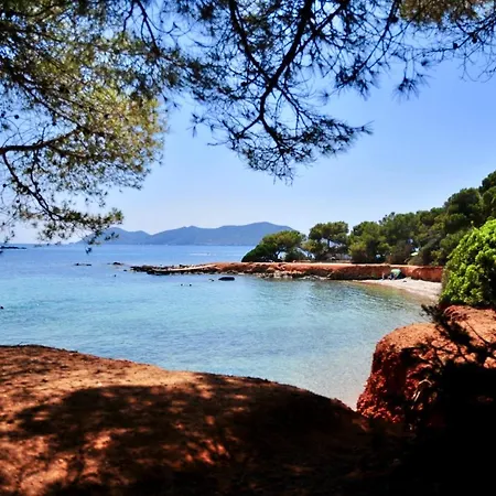 Ibiza Camp
